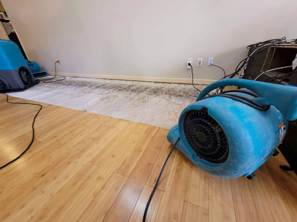 Professional Flood Damage Cleanup technician working in Clarksville, VA